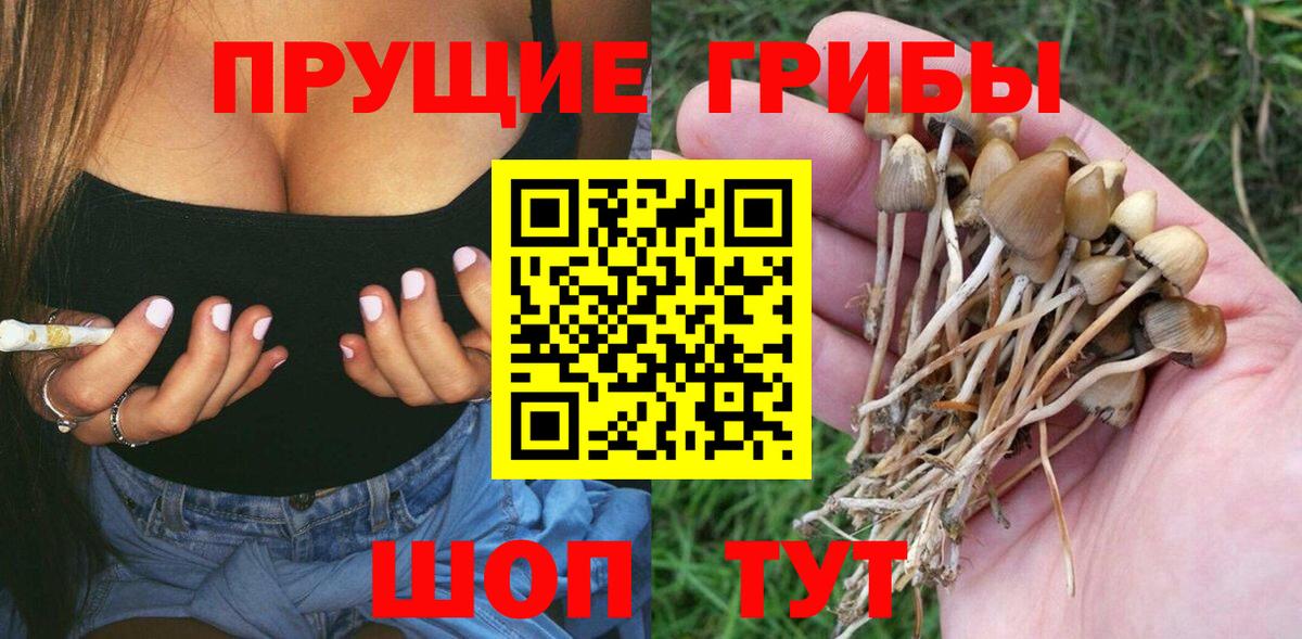 Псилоцибиновые грибы ЛСД Боровичи